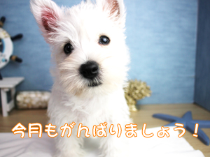 あっという間に９月です！